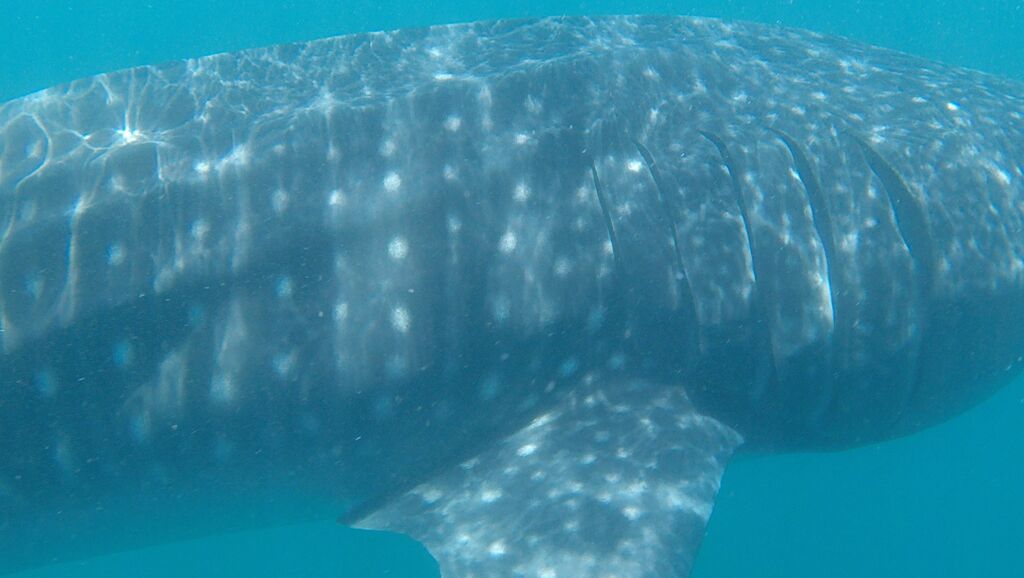 40c86d4a-531a-4b50-a6b8-674fafc340f1