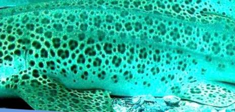 439f8174-ede0-4f85-b762-39263c49952d