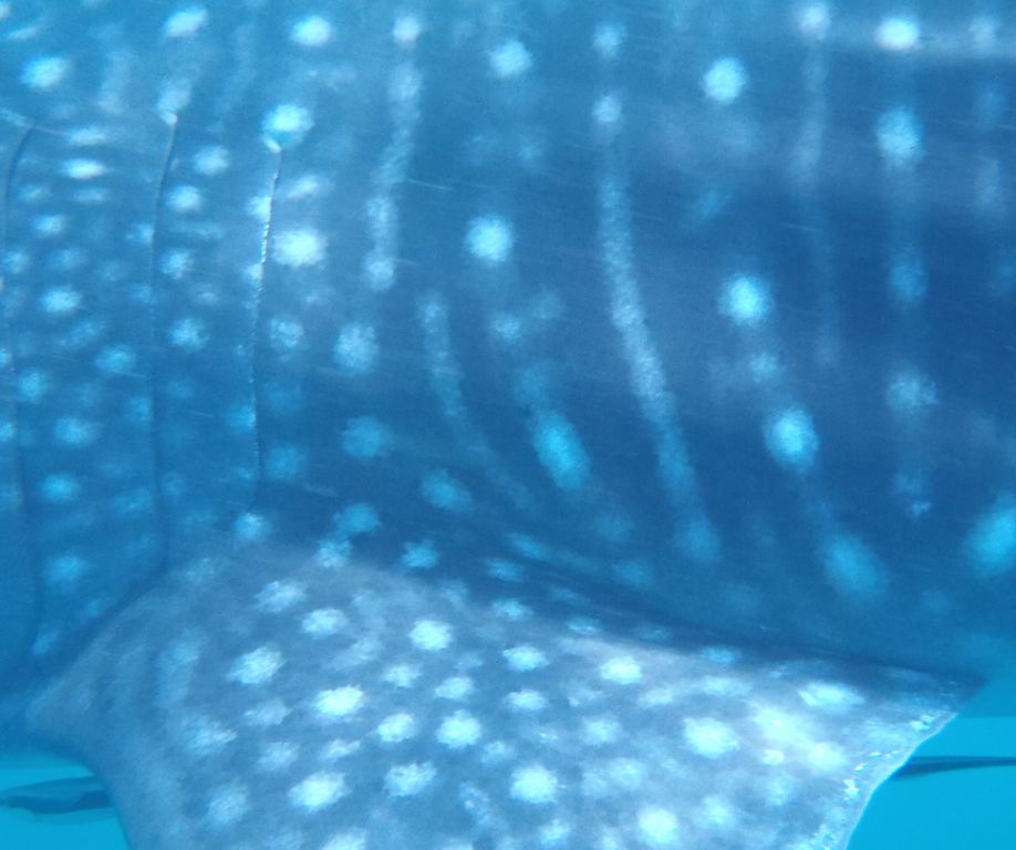 c1b9ed07-221d-4feb-9b58-6f9b7c5641d9