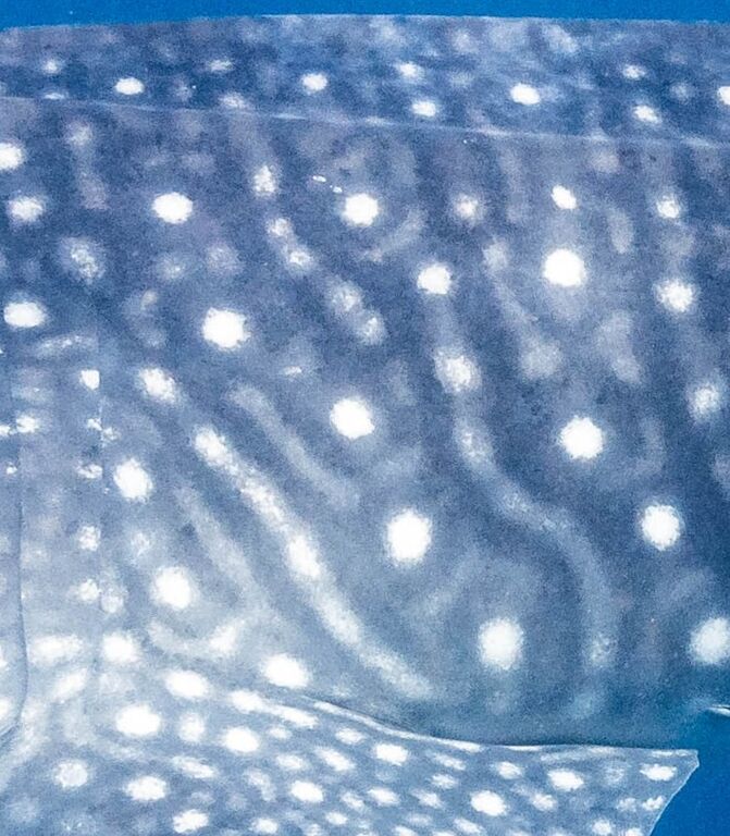 9a423ec4-8096-47d2-aae9-f41d6d9219cd