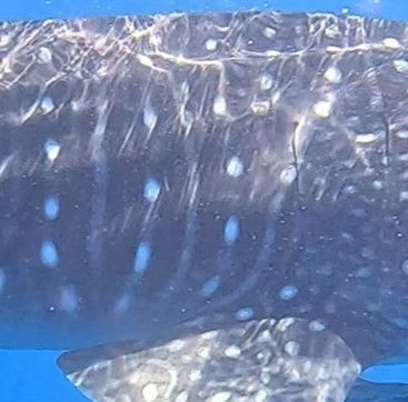 0f7e8c9a-6c88-40a5-9cf4-e49044247080