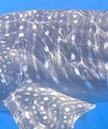 0f7e8c9a-6c88-40a5-9cf4-e49044247080