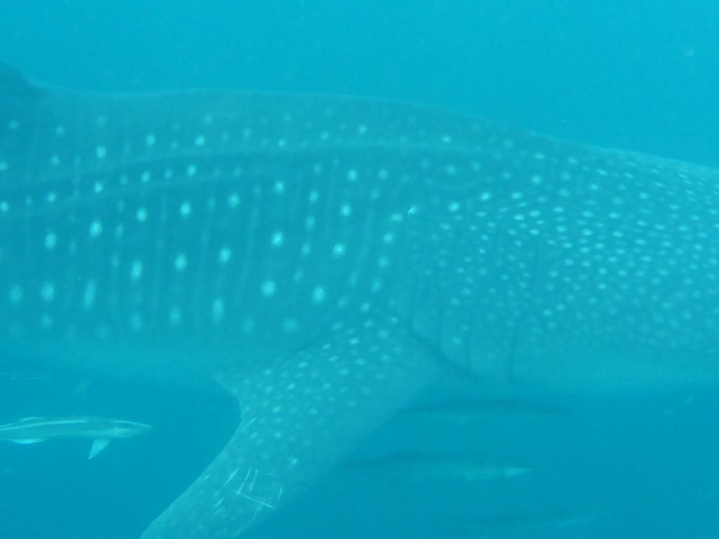 eed37155-bbae-426f-8d7e-40f2ebabf2f6