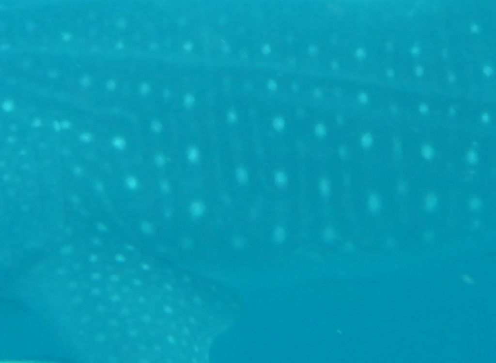 eed37155-bbae-426f-8d7e-40f2ebabf2f6