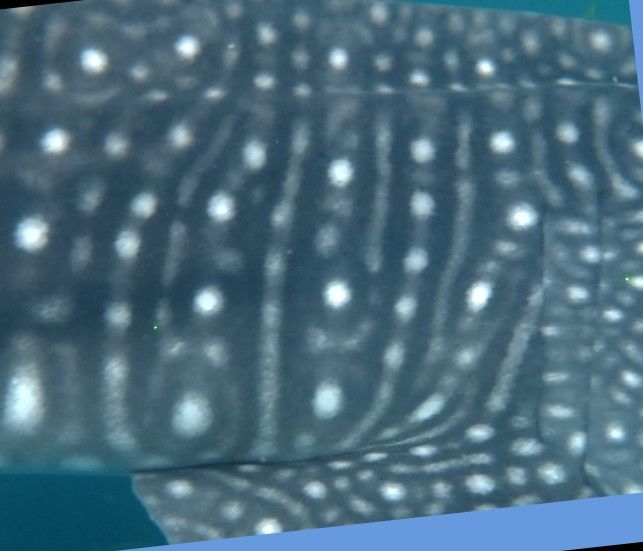 f4050274-613f-4206-aadf-cb5b53e61ad7