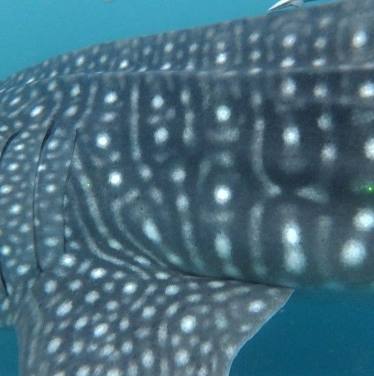 f4050274-613f-4206-aadf-cb5b53e61ad7