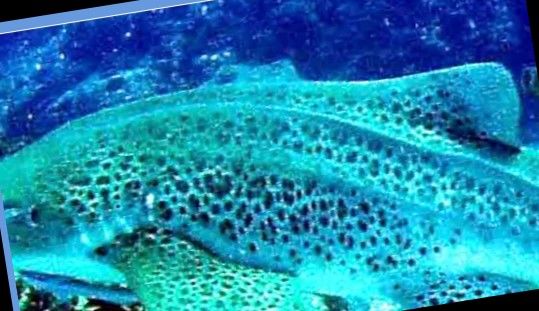 aa287e88-3462-47ef-906a-2f013c7a0cc4