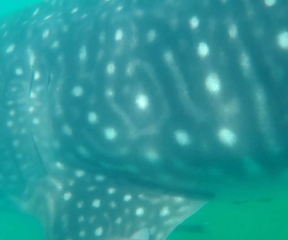 09f330c4-17ca-4fd0-a4eb-99cfbffcc0f8