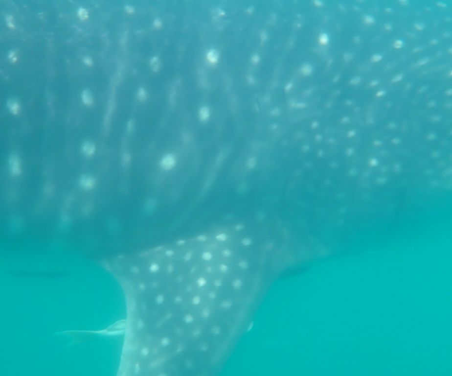 09f330c4-17ca-4fd0-a4eb-99cfbffcc0f8