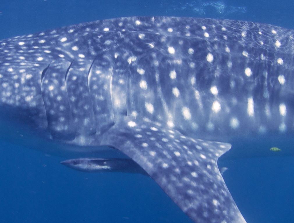 417589fc-3625-47b8-96d1-8f1235cedfd0