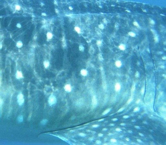 bb62c57c-3709-4236-8a89-4e2da08a8141