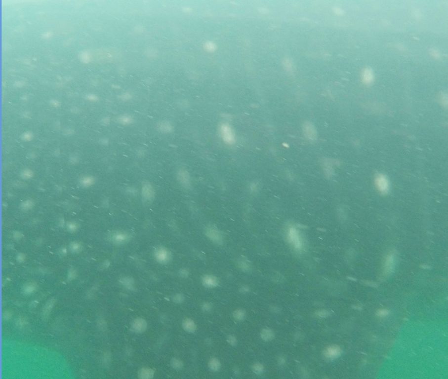 26b63a0f-8bf8-4592-b35f-c381b9f01f8a