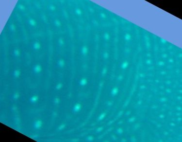 69917b19-059d-4d67-aeb3-b04c14f36f90