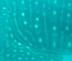 69917b19-059d-4d67-aeb3-b04c14f36f90