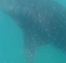 10a5bf48-7e8d-403d-a756-efdcdab49d38