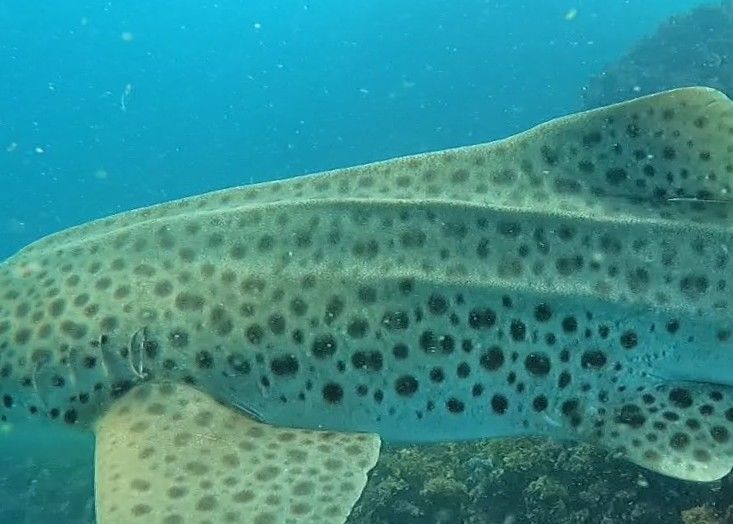 8ba107a1-8596-4d63-8f70-28f6afc50312