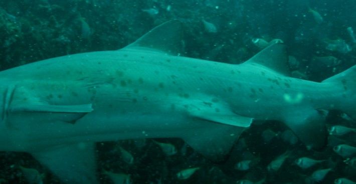 e2f9a152-16ee-4168-b731-ff639132833b