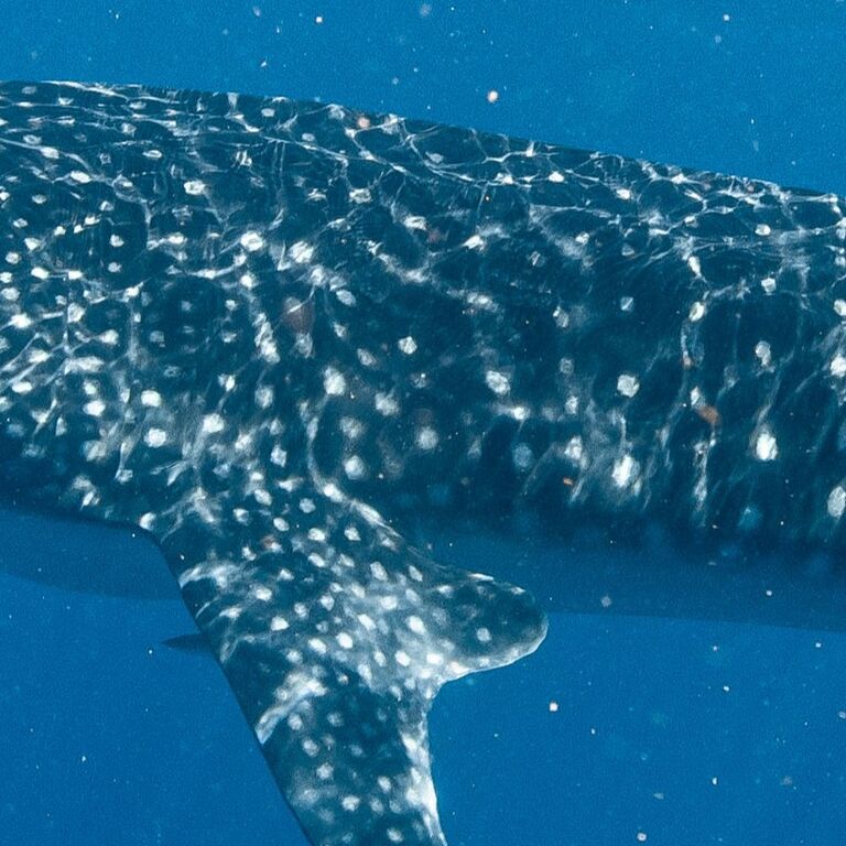 dd6d8dce-a3c8-48fa-bb98-49307a0dfec2