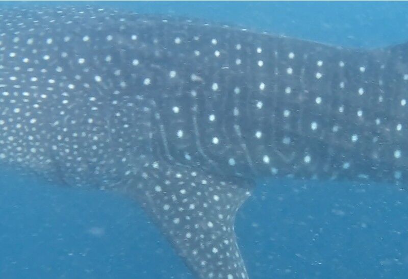 de735ff8-c209-434d-9f62-308f37e19628