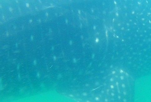 5ae67e65-1b14-4534-a9b3-e18c69fb33b4