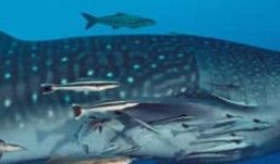 da97e63a-1b81-4eb7-9c8e-043cacf6904d