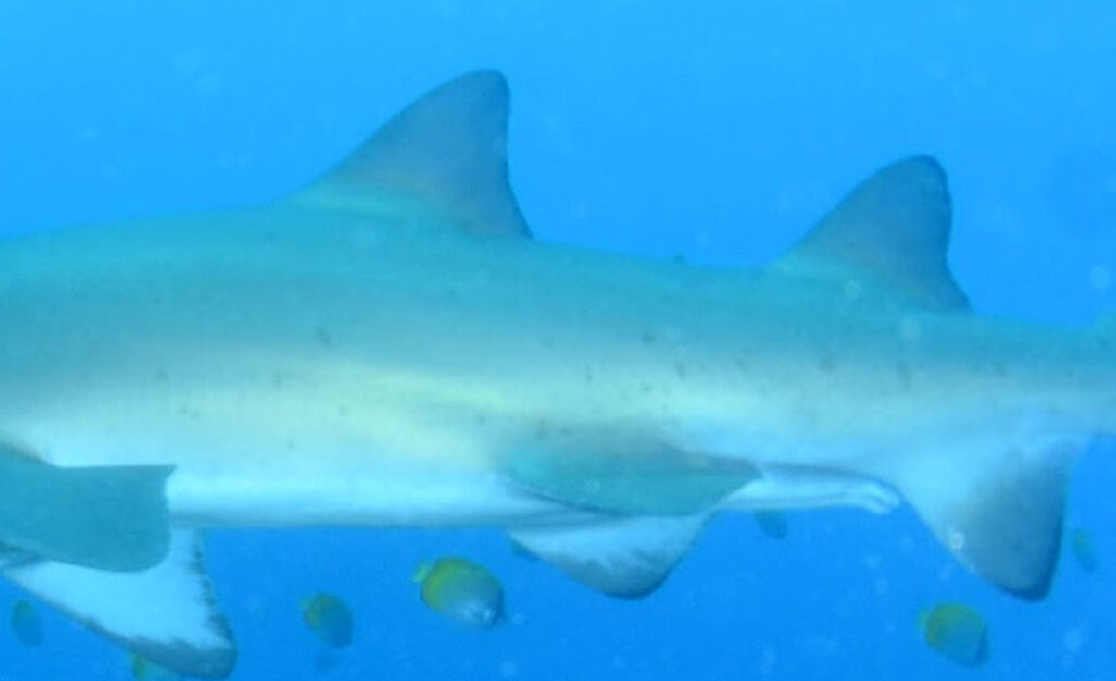 4e41c2b8-2a3a-4a9d-8ed7-e8f549255331