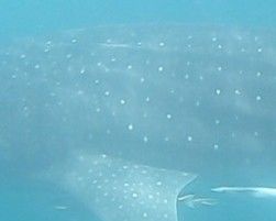 04c779b2-79f3-4a7a-9bfe-ce051b663fe8