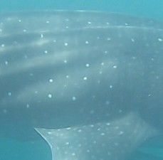 04c779b2-79f3-4a7a-9bfe-ce051b663fe8