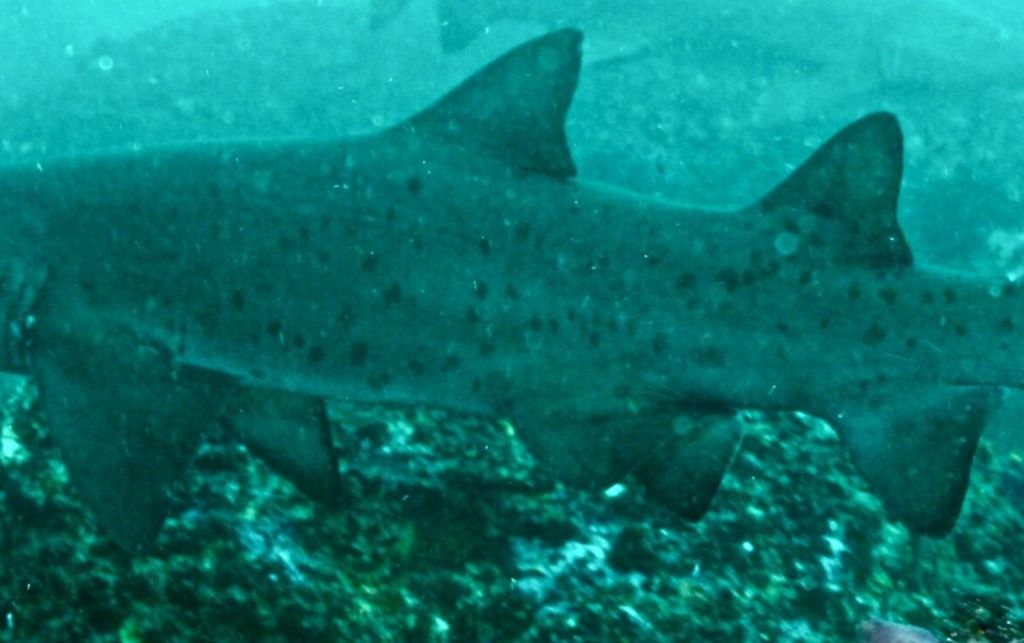 55fa5853-6887-4d62-9ef3-8568e96b41e7