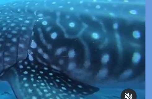 7f7edd8f-757c-43db-b19c-b4df94ccb804