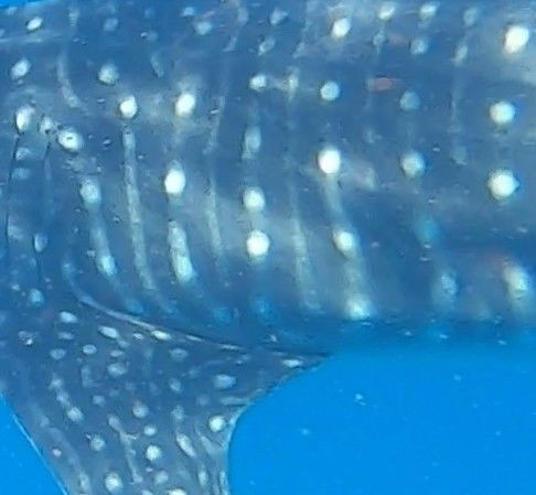 f7697421-187a-44e0-8676-2fa79d07fdd7