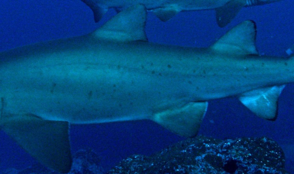 64f800a6-d07f-41b9-9bcc-b302218dc29e