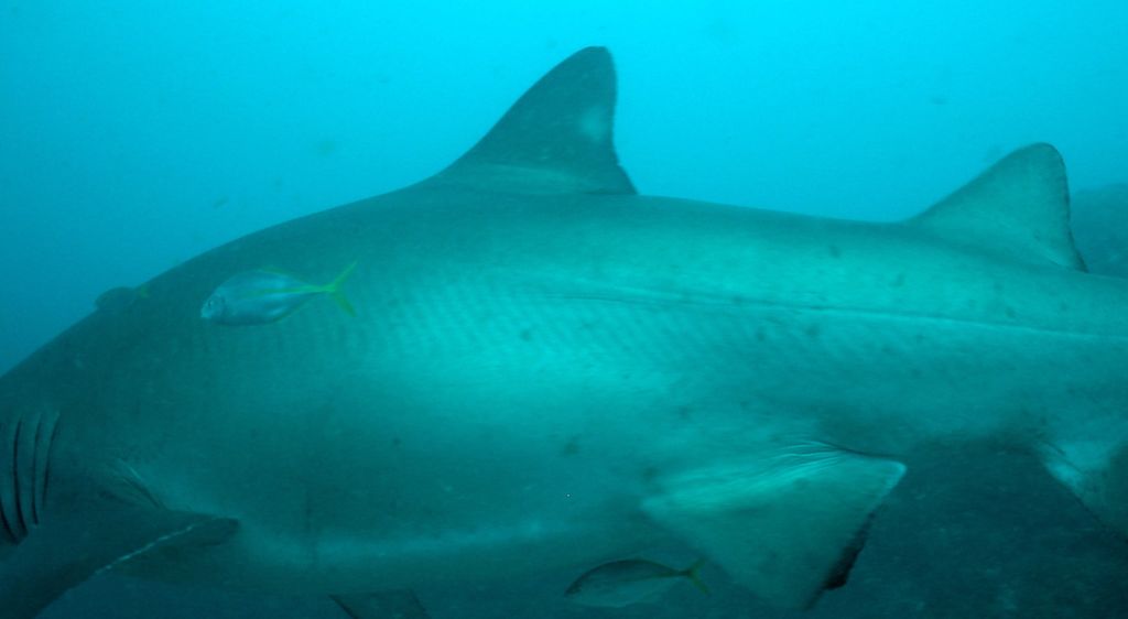 9a2f2cf8-61cd-4630-8d25-03314e2ea98f