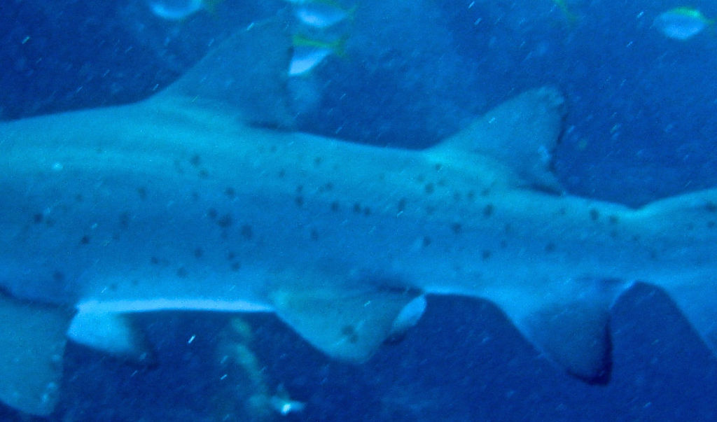 08892bcc-241d-4fd0-845d-ccbd4bea8021