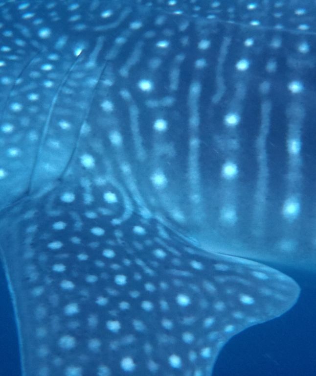 d0d5d040-b84e-4844-abe4-e55b0fecb836