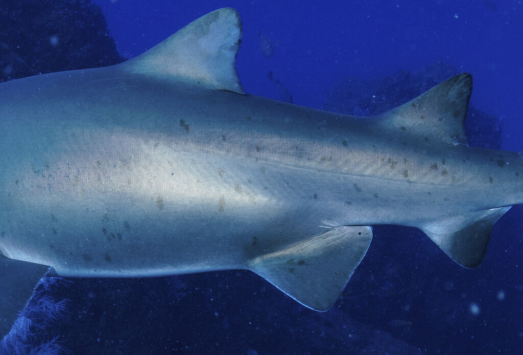 3d7041f0-ffb0-45f8-80ad-d7bef4d9cb2c