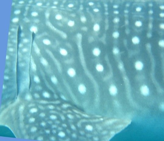 d5f69560-d194-4d56-b905-abdbf6b2c9a0