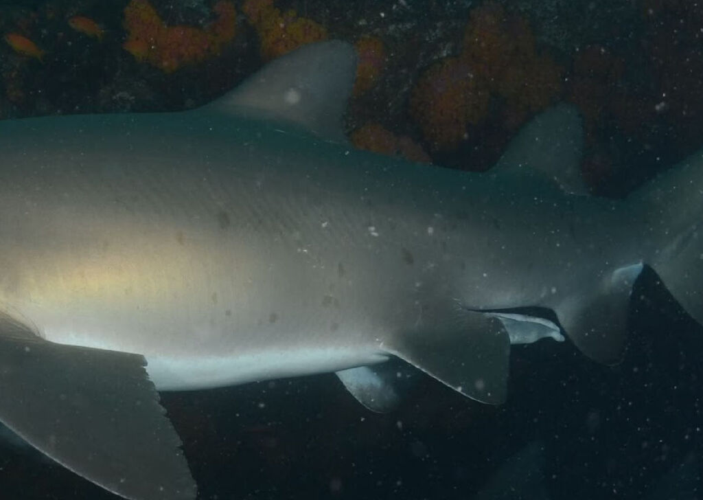 68c46375-deab-4154-abba-c41ecf2b3ac8