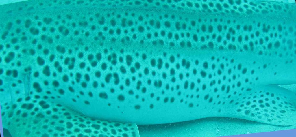 701da3a0-3bbc-4c2f-90fd-4d7649e72927