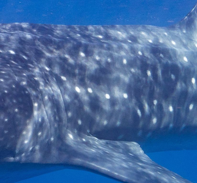 6f3da9a4-5a80-4e6b-a369-a733f0fa5d96