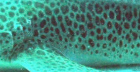 8911e65b-a73f-4c77-8b65-5bd93223e309