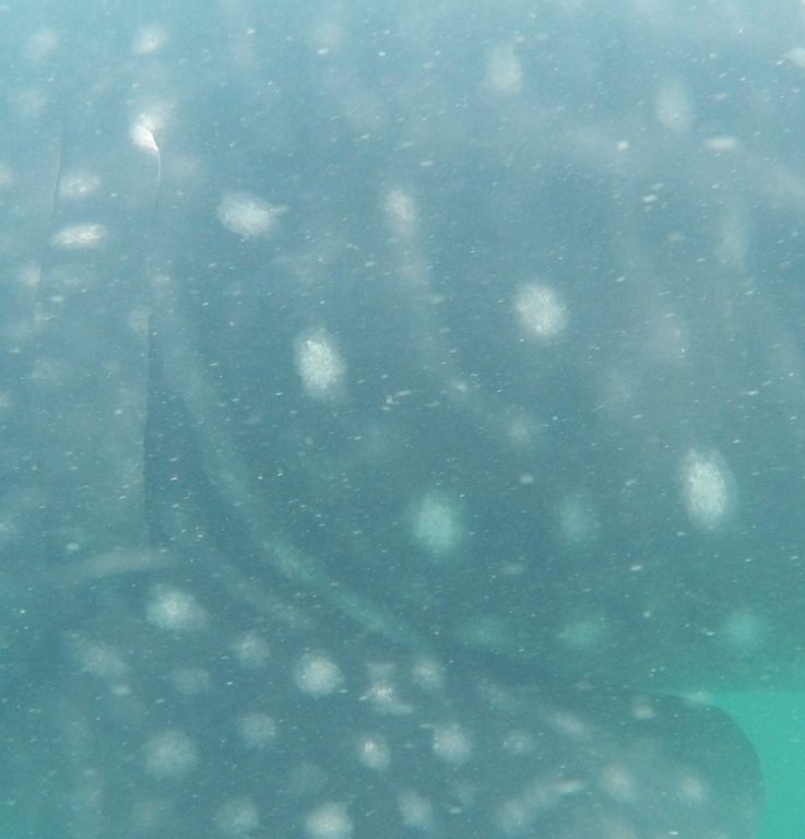 f3b0eb05-d340-42c2-8583-dda554cb7388