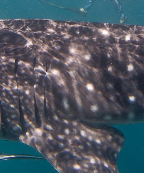 e6a1a743-a5a1-4465-bb44-ed24374edd4c