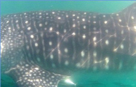 769e0f7b-5404-43f0-a996-a272a4c851ad