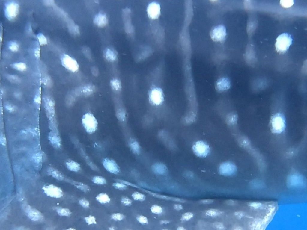 19264ea4-050a-441f-82b4-a673f572aa12