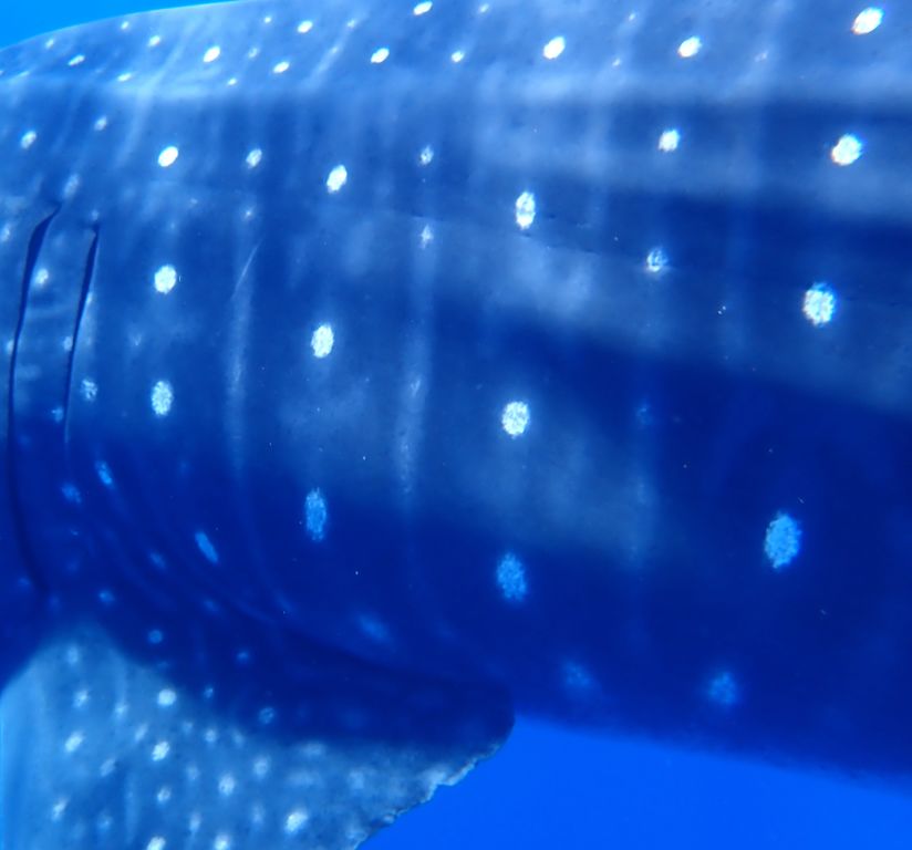 45db077e-38c3-4745-8144-f47bde6f3399