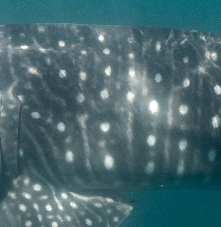 f1571a2a-8536-46dc-8b7d-177c9c35ac70