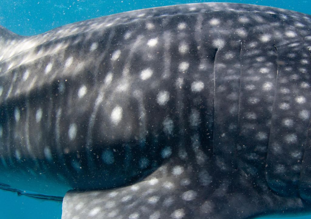 bea6ad4a-d528-4d50-939f-9651626160ac