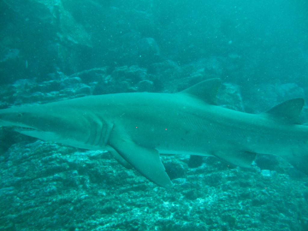 53a44db0-ed9a-4d53-87cd-aa9a9ab61903