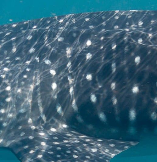 a59f8bfa-f8fc-47bb-889d-736fe2686fb1